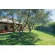 Properties for Sale_Restored Farmhouses _EXCLUSIVE PROPERTY WITH POOL FOR SALE ANCIENT FARMHOUSE IN THE MARCHE COMUNE DI Montefiore dell'Aso province of Ascoli Piceno   in Le Marche_4